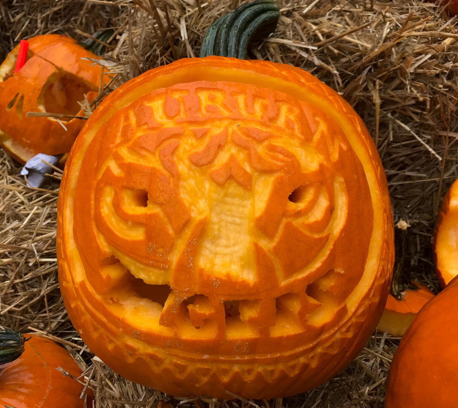 Auburn University Pumpkin Carve